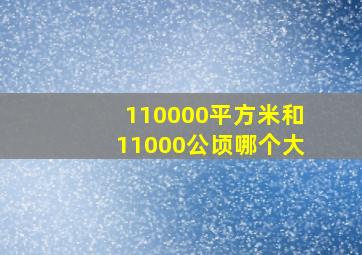 110000平方米和11000公顷哪个大