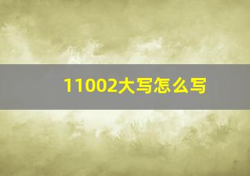 11002大写怎么写