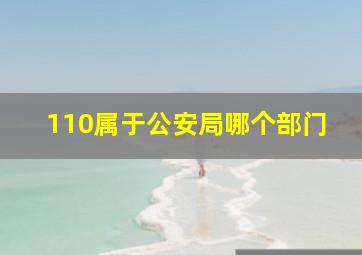 110属于公安局哪个部门