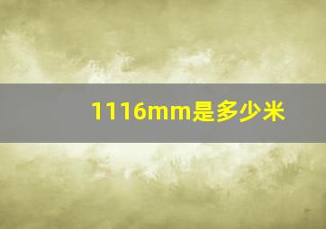 1116mm是多少米