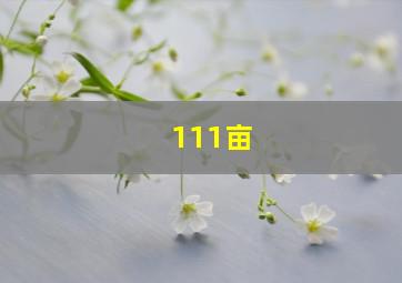 111亩