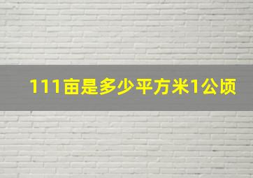 111亩是多少平方米1公顷