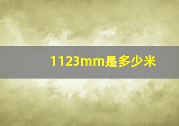 1123mm是多少米