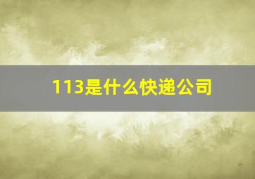 113是什么快递公司