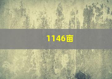 1146亩