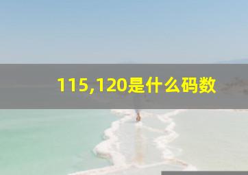 115,120是什么码数