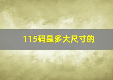 115码是多大尺寸的