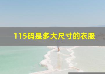 115码是多大尺寸的衣服