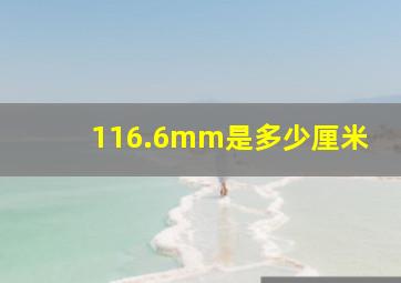 116.6mm是多少厘米