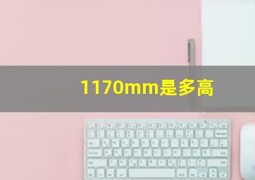 1170mm是多高