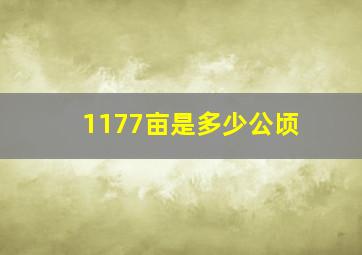 1177亩是多少公顷