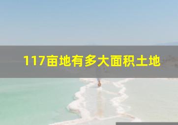 117亩地有多大面积土地