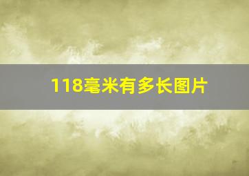 118毫米有多长图片