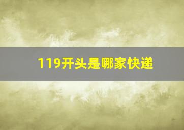 119开头是哪家快递