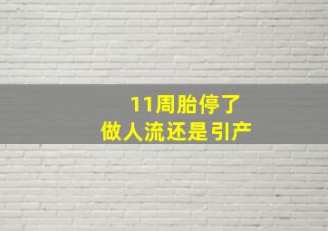 11周胎停了做人流还是引产