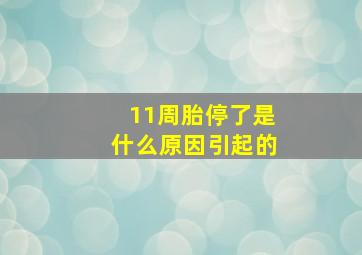 11周胎停了是什么原因引起的