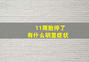 11周胎停了有什么明显症状