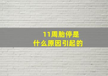 11周胎停是什么原因引起的