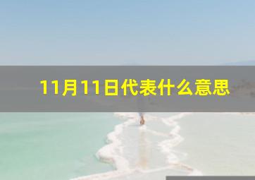 11月11日代表什么意思