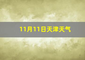 11月11日天津天气