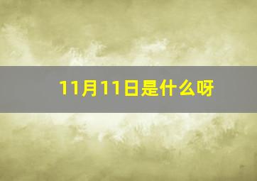 11月11日是什么呀