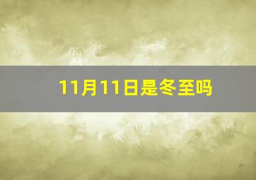 11月11日是冬至吗