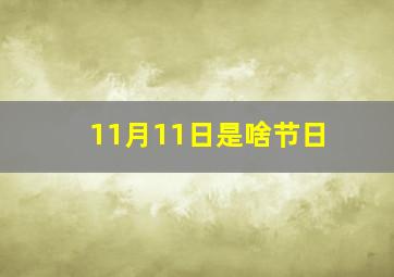 11月11日是啥节日