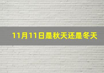 11月11日是秋天还是冬天