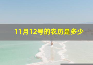 11月12号的农历是多少