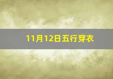 11月12日五行穿衣