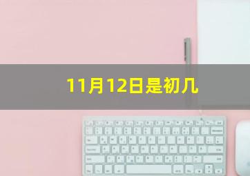 11月12日是初几