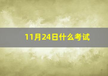 11月24日什么考试