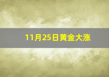 11月25日黄金大涨