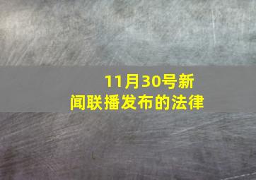 11月30号新闻联播发布的法律