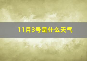 11月3号是什么天气