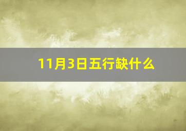 11月3日五行缺什么