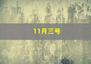 11月三号