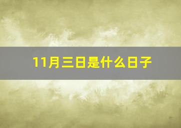 11月三日是什么日子