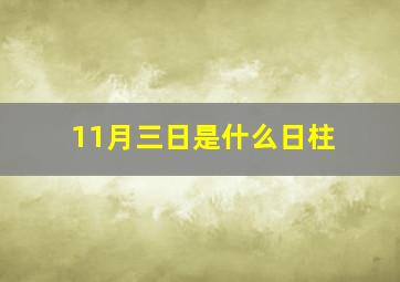 11月三日是什么日柱