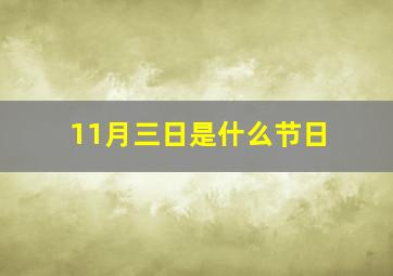 11月三日是什么节日