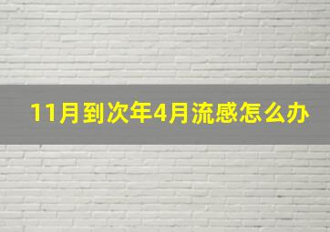 11月到次年4月流感怎么办