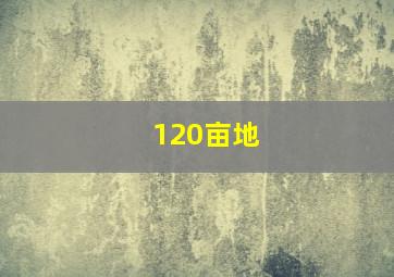 120亩地