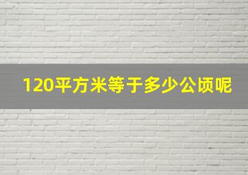 120平方米等于多少公顷呢