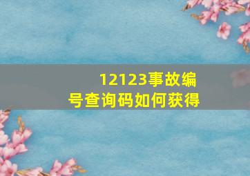 12123事故编号查询码如何获得