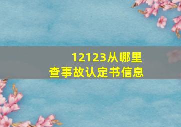 12123从哪里查事故认定书信息