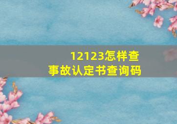 12123怎样查事故认定书查询码