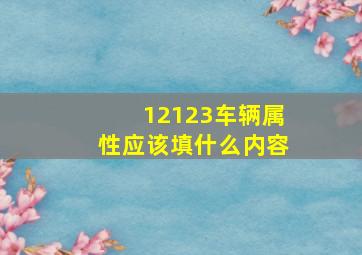 12123车辆属性应该填什么内容