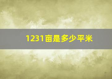 1231亩是多少平米