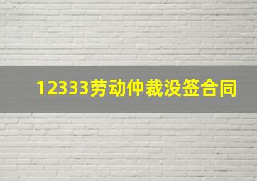 12333劳动仲裁没签合同