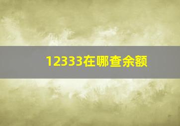 12333在哪查余额